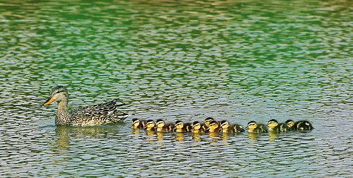 《死亡之屋：重制版》宣布跳票 将于2022年春季发售